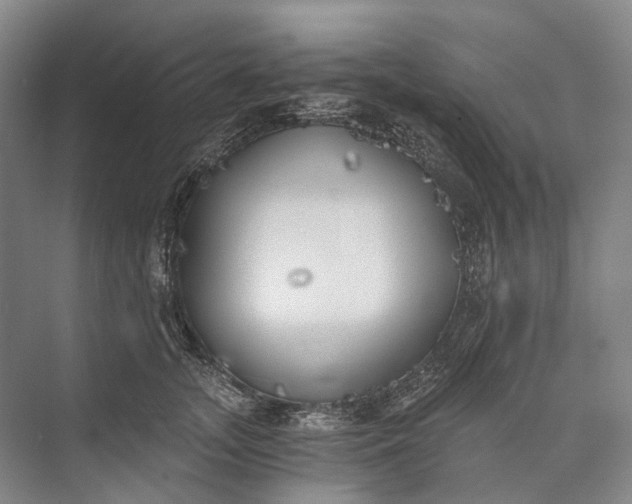 X0000072930755200608041216