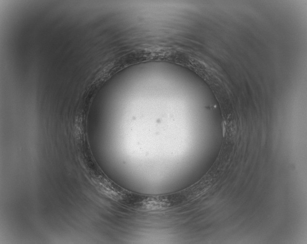 X0000072930756200608041216