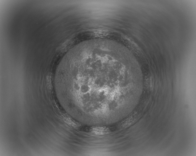 X0000072930757200608041216