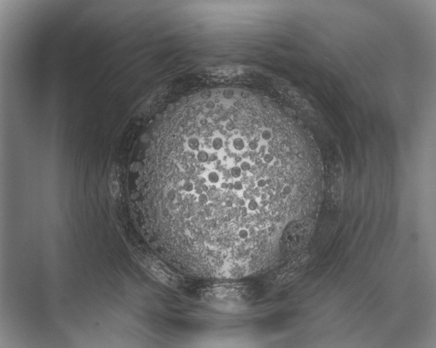 X0000072930758200608041216