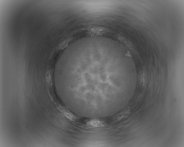 X0000072930759200608041216