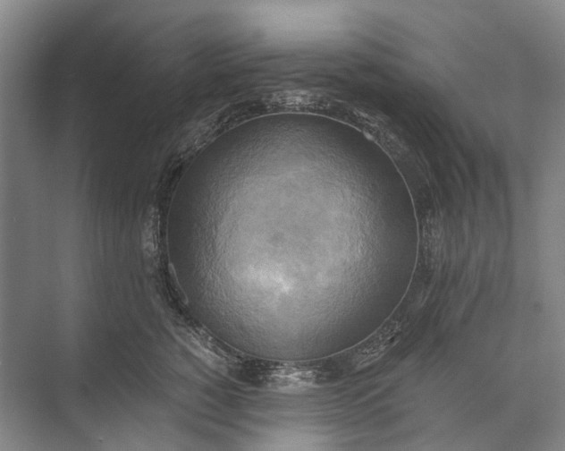 X0000072930760200608041216