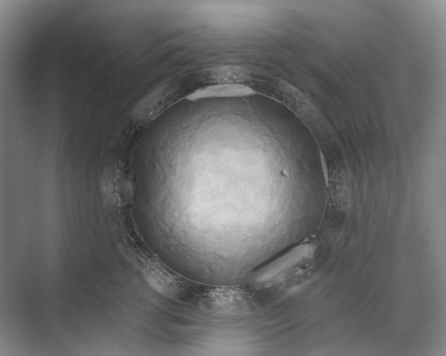 X0000072930762200608041216