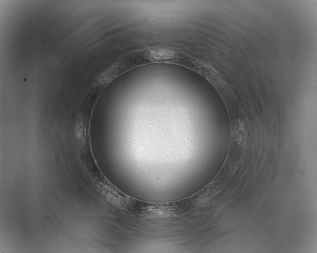 X0000072930763200608041216