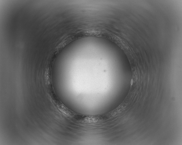 X0000072930764200608041216