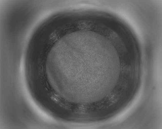 X0000072930765200608041216