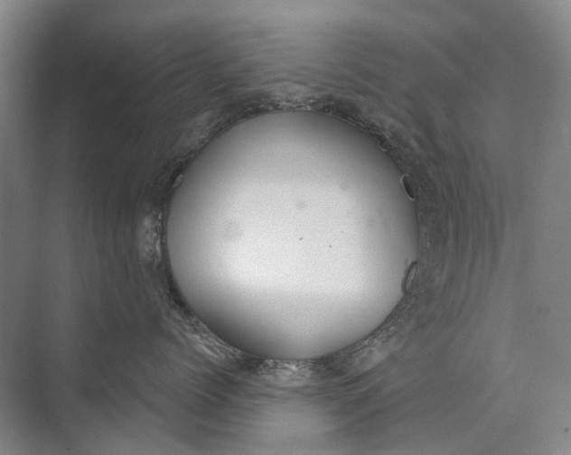 X0000072930768200608041216