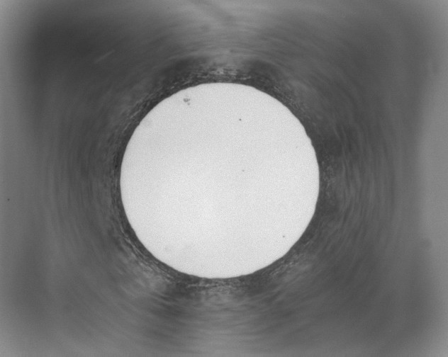 X0000072930769200608041215