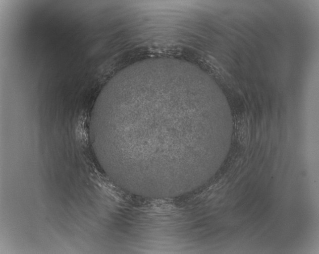 X0000072930770200608041215