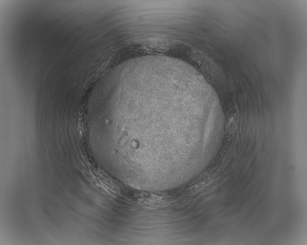 X0000072930772200608041215