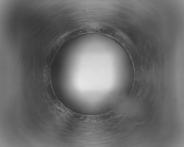 X0000072930773200608041215