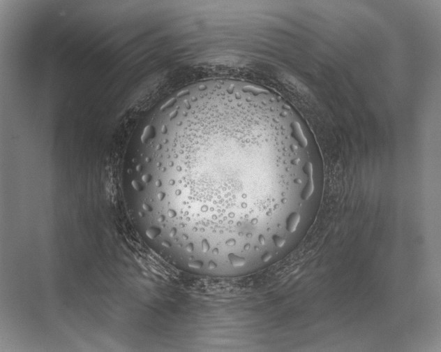 X0000072930774200608041215