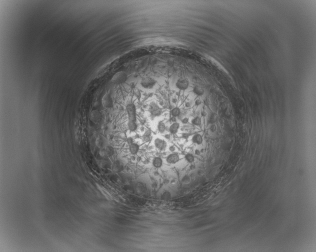 X0000072930775200608041215