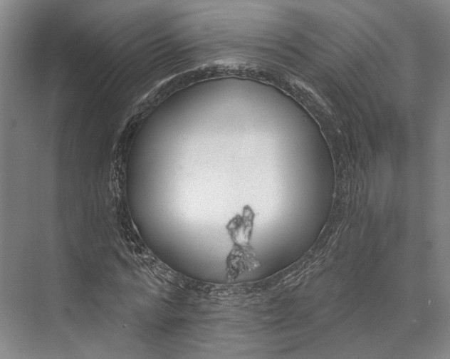 X0000072930776200608041215