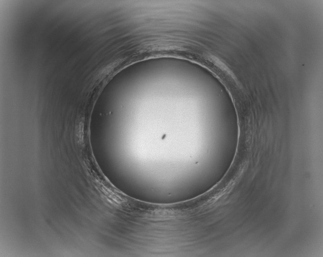 X0000072930777200608041215