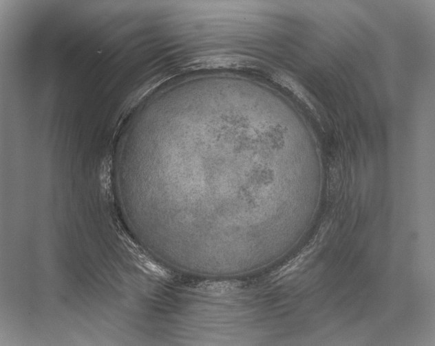 X0000072930778200608041215