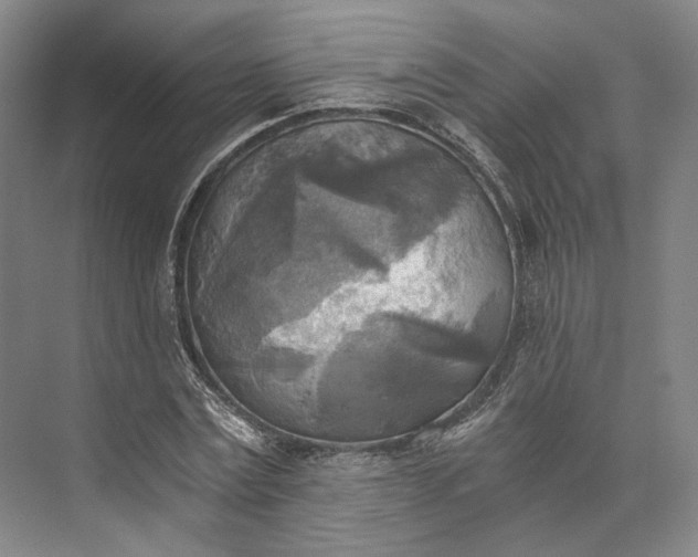 X0000072930779200608041215