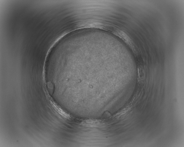 X0000072930780200608041215