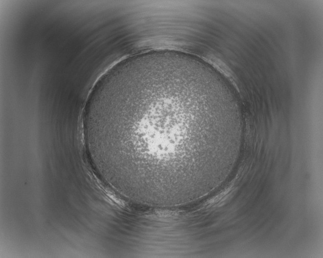 X0000072930782200608041215