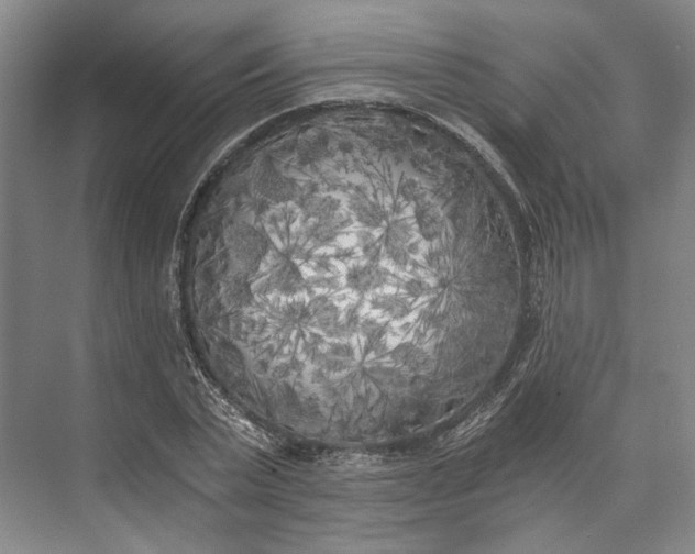 X0000072930783200608041215