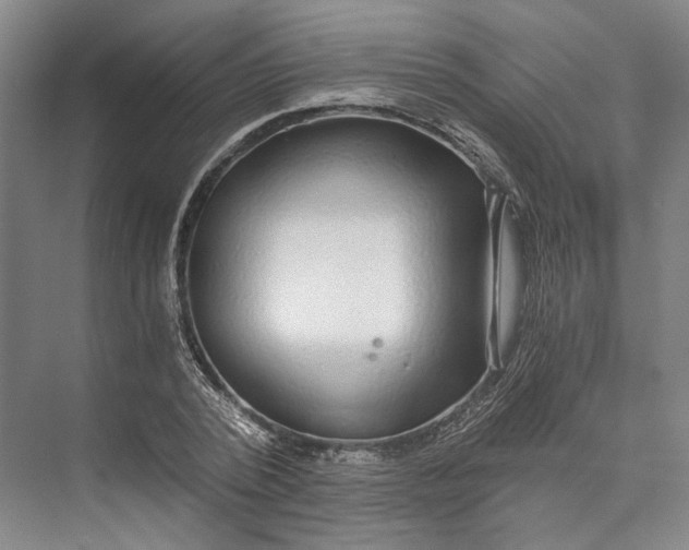 X0000072930784200608041215