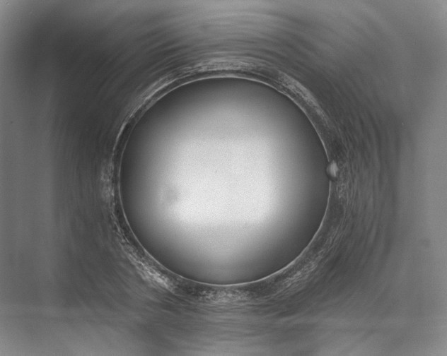 X0000072930786200608041215