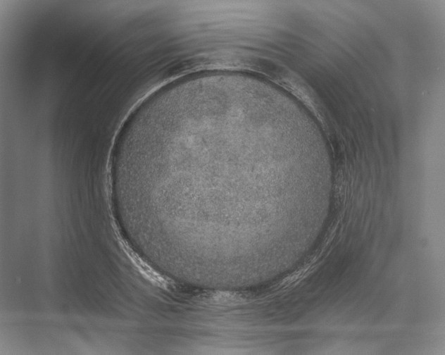 X0000072930787200608041215