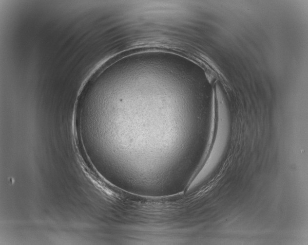 X0000072930788200608041215