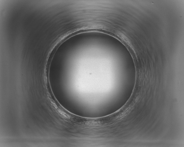 X0000072930789200608041215