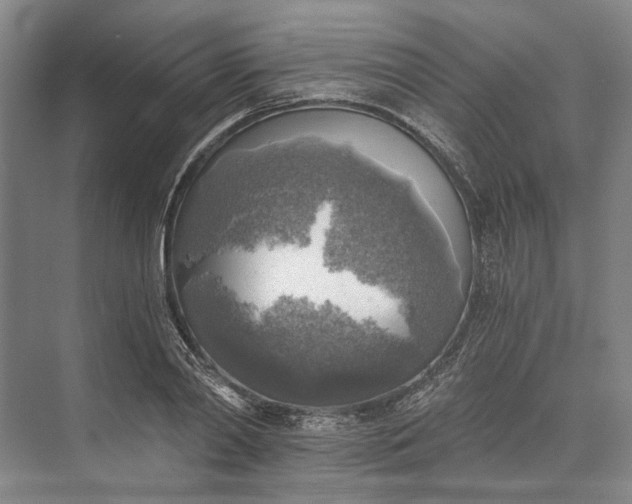 X0000072930790200608041215