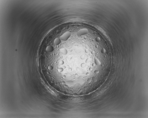 X0000072930791200608041215