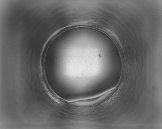 X0000072930792200608041215