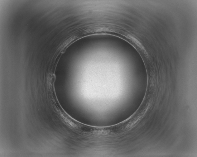 X0000072930793200608041215