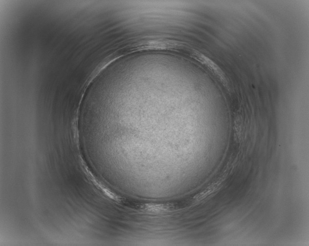 X0000072930794200608041215