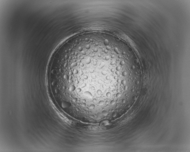 X0000072930795200608041215