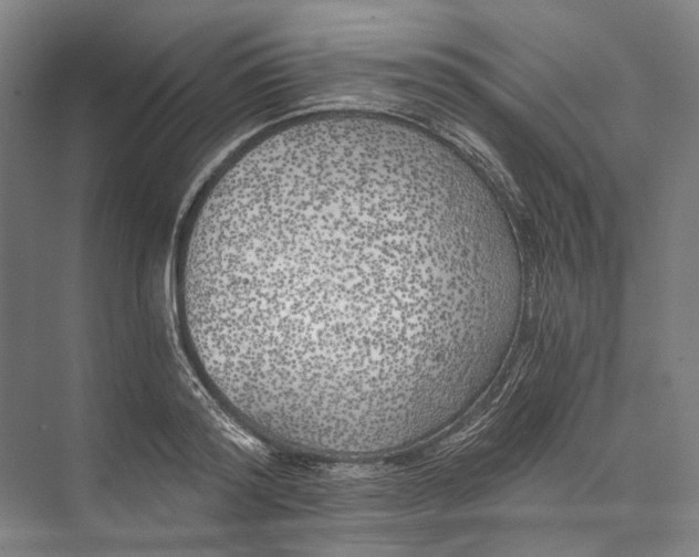 X0000072930796200608041215