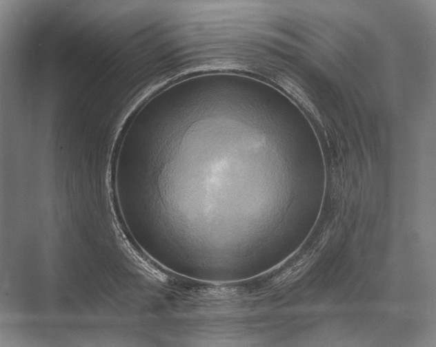 X0000072930797200608041215