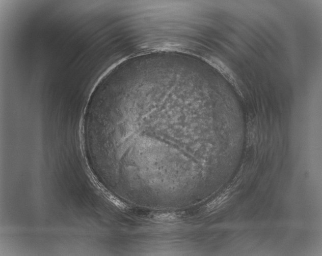 X0000072930798200608041214