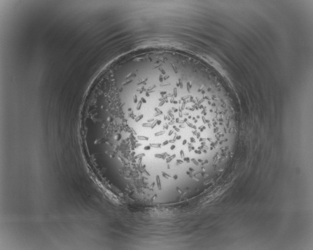 X0000072930799200608041214