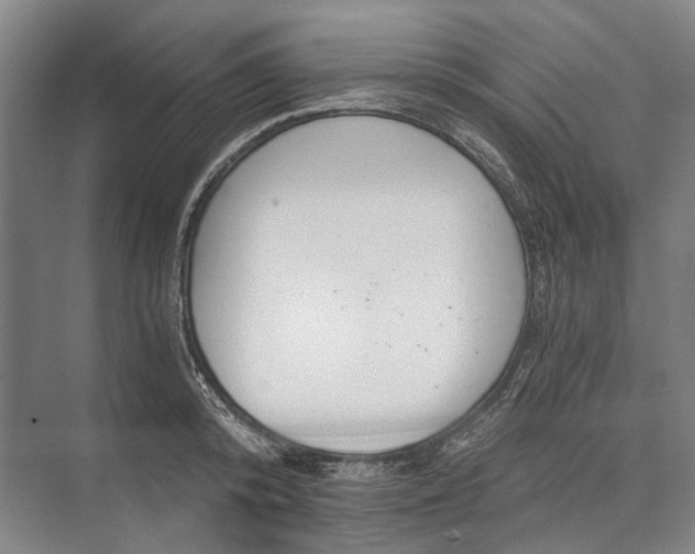 X0000072930800200608041214