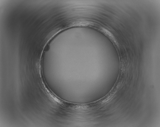 X0000072930802200608041214