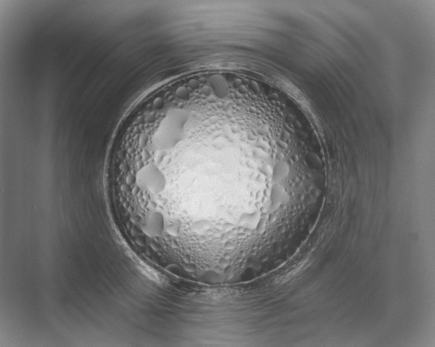 X0000072930803200608041214