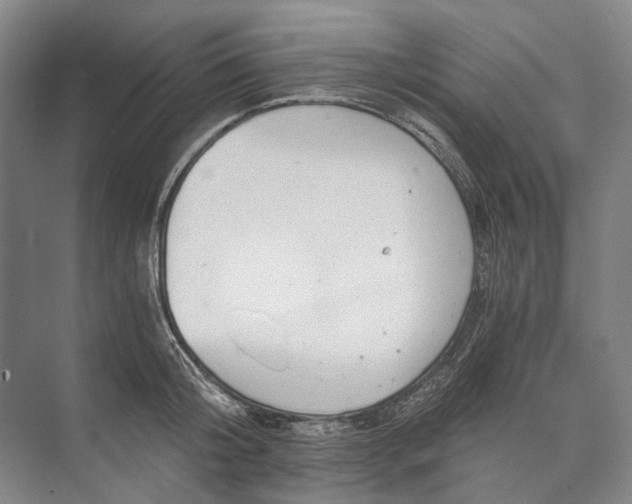 X0000072930804200608041214