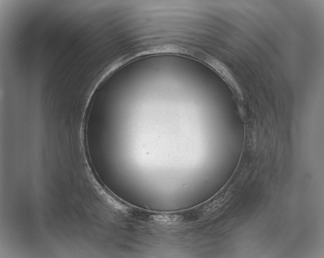 X0000072930805200608041214