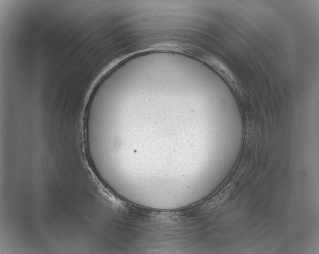 X0000072930808200608041214