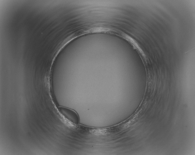 X0000072930810200608041214