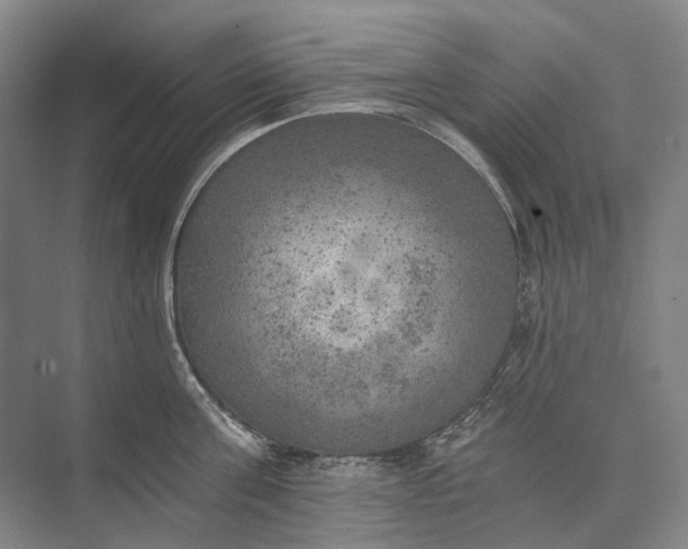 X0000072930811200608041214