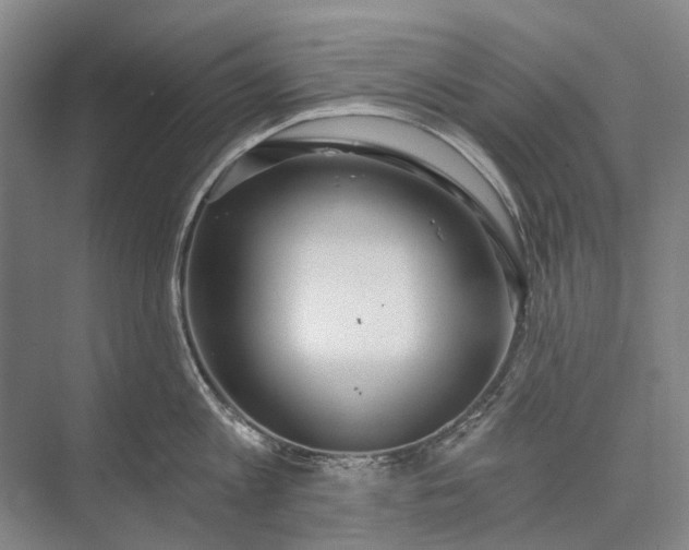 X0000072930813200608041214