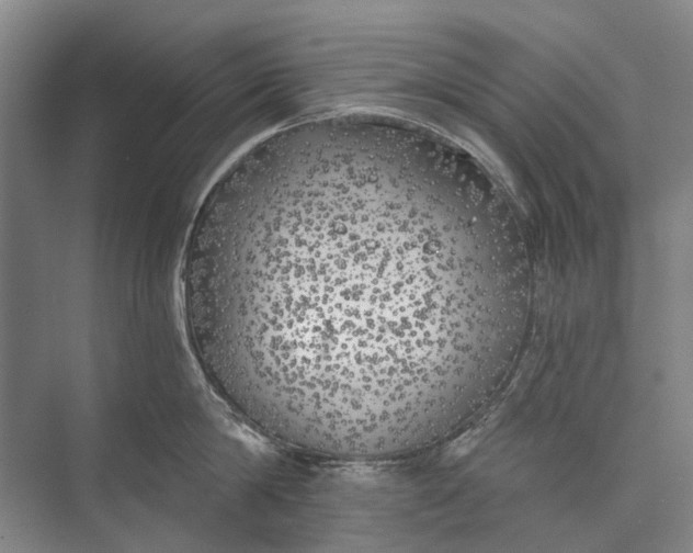 X0000072930814200608041214