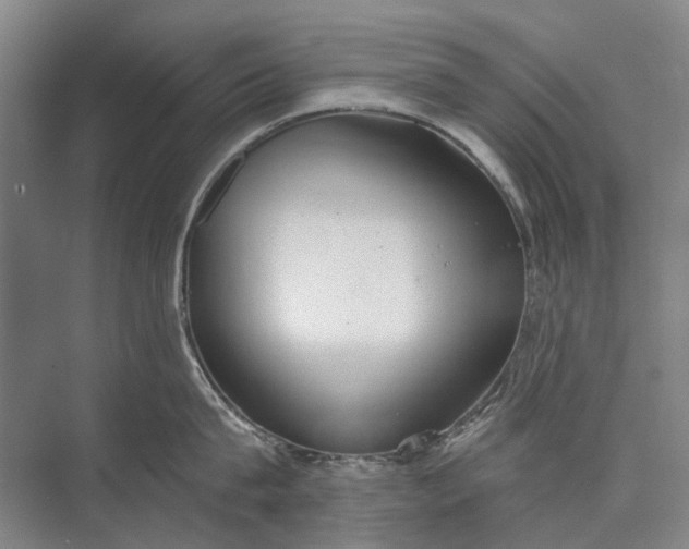 X0000072930815200608041214